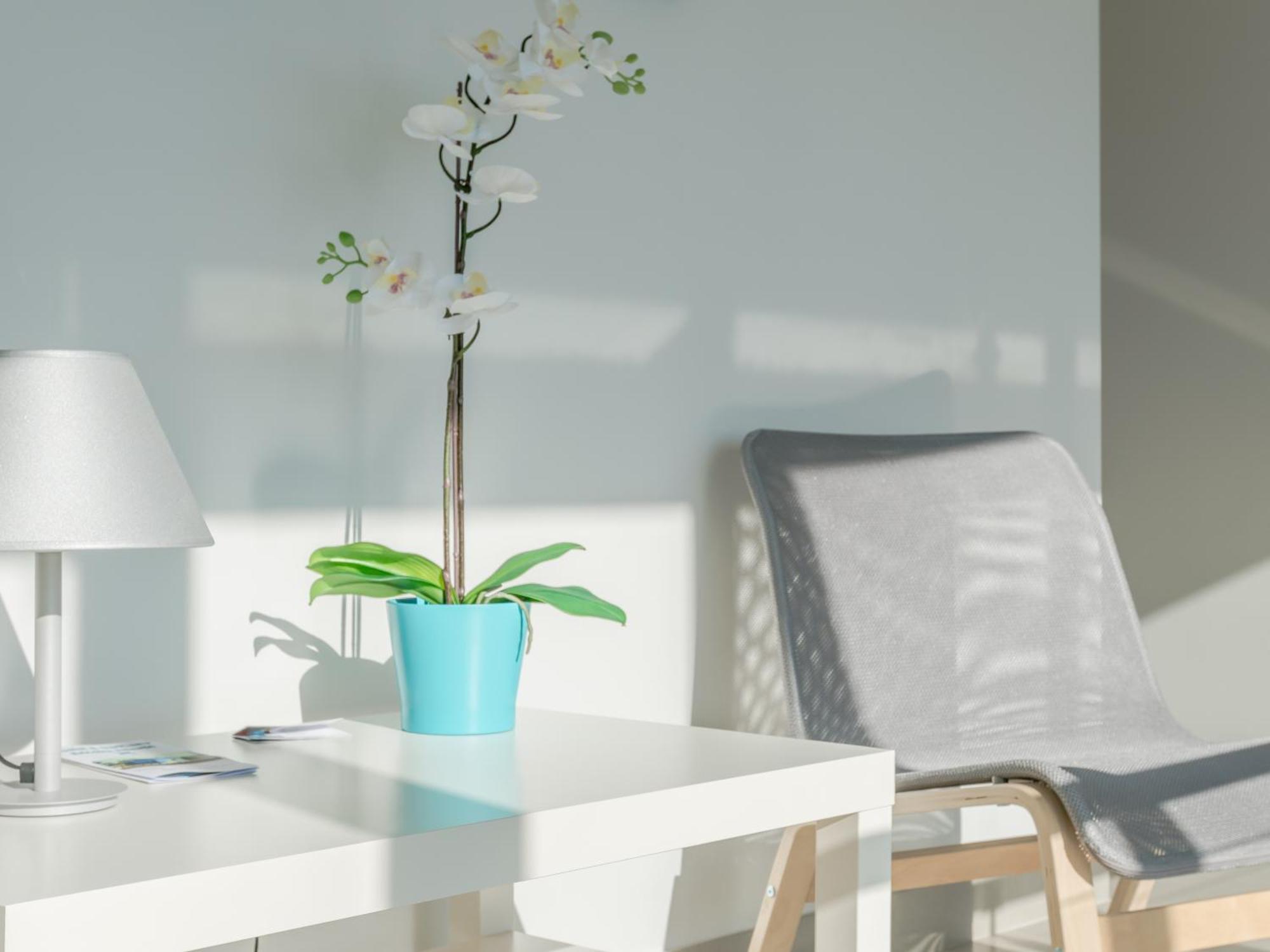 Ericeira Atlantic Hostel Екстериор снимка